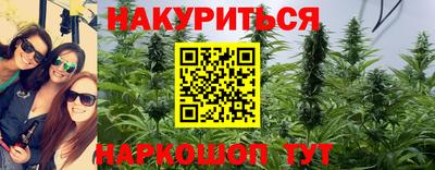 крисы Нальчик