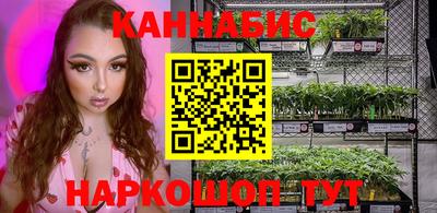 крисы Нальчик